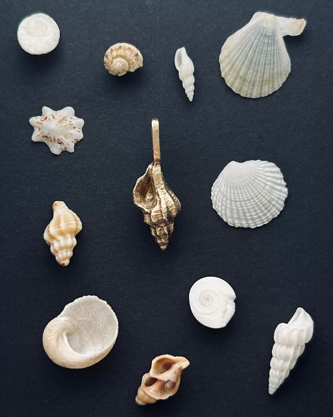 Concha Pendant Charm