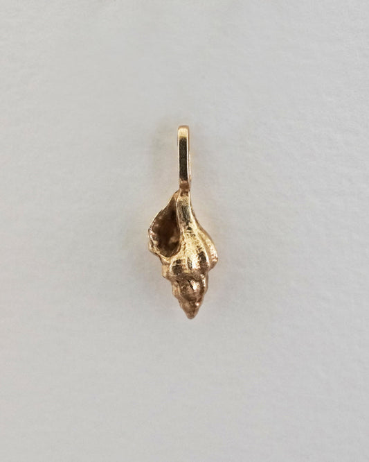Concha Pendant Charm