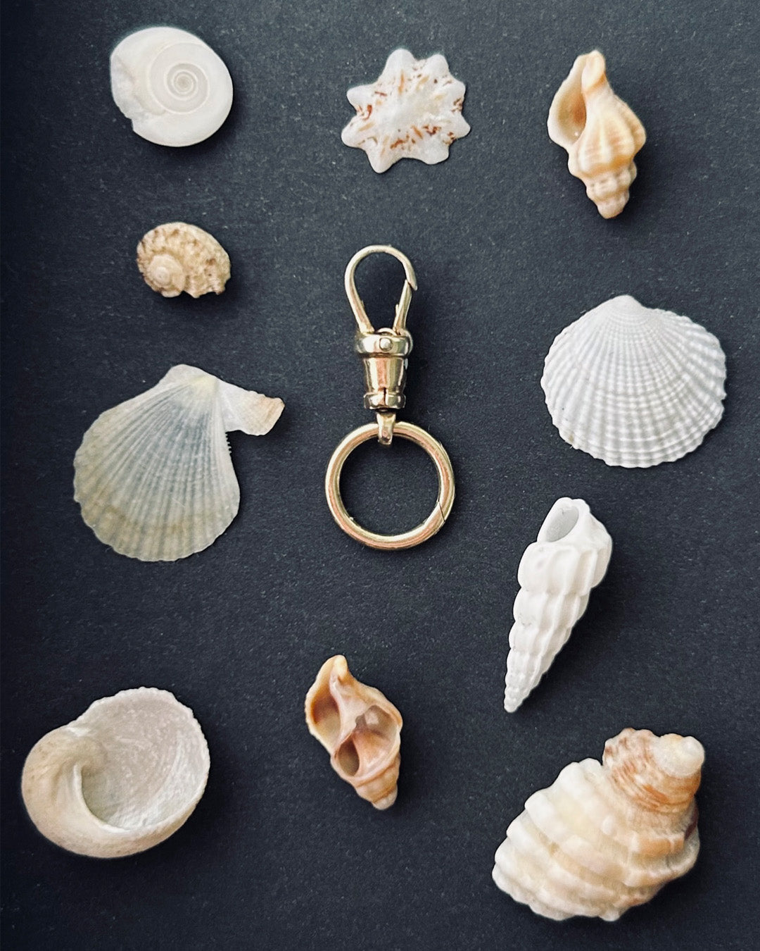 Swivel Clasp and Connector Set